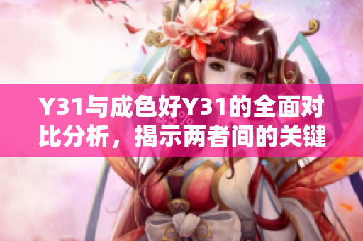 Y31与成色好Y31的全面对比分析，揭示两者间的关键区别