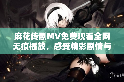 麻花传剧MV免费观看全网无痕播放，感受精彩剧情与动人音乐