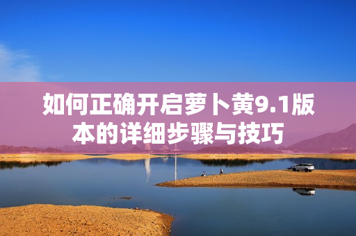 如何正确开启萝卜黄9.1版本的详细步骤与技巧