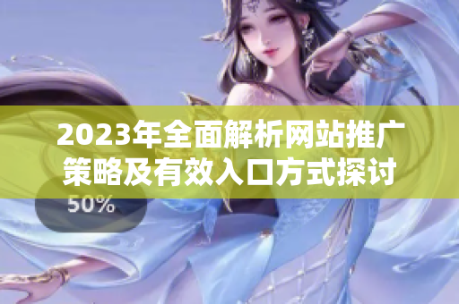 2023年全面解析网站推广策略及有效入口方式探讨