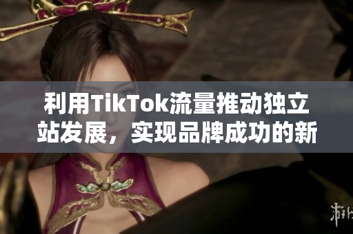 利用TikTok流量推动独立站发展，实现品牌成功的新策略