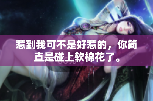 惹到我可不是好惹的，你简直是碰上软棉花了。