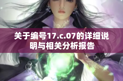 关于编号17.c.07的详细说明与相关分析报告