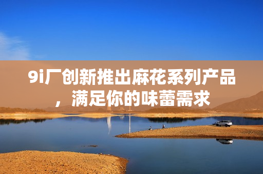 9i厂创新推出麻花系列产品，满足你的味蕾需求