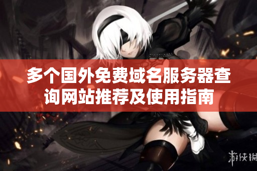 多个国外免费域名服务器查询网站推荐及使用指南