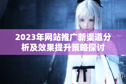 2023年网站推广新渠道分析及效果提升策略探讨