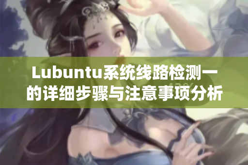 Lubuntu系统线路检测一的详细步骤与注意事项分析