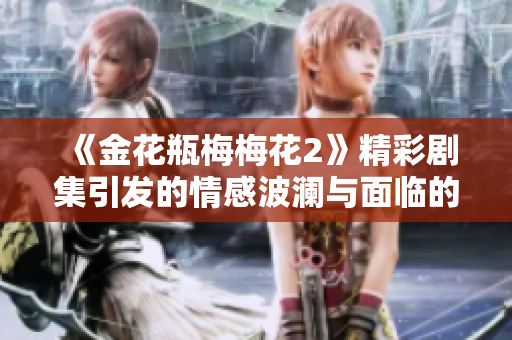 《金花瓶梅梅花2》精彩剧集引发的情感波澜与面临的挑战解析