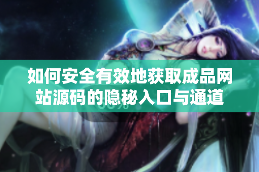 如何安全有效地获取成品网站源码的隐秘入口与通道