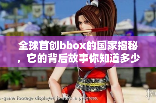 全球首创bbox的国家揭秘，它的背后故事你知道多少呢