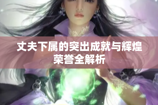 丈夫下属的突出成就与辉煌荣誉全解析