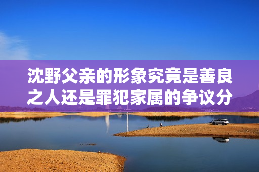 沈野父亲的形象究竟是善良之人还是罪犯家属的争议分析