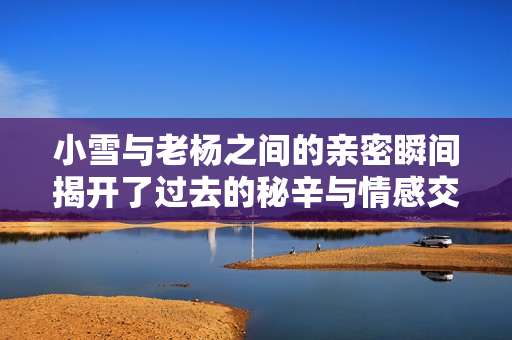小雪与老杨之间的亲密瞬间揭开了过去的秘辛与情感交织