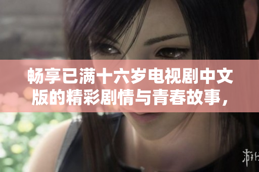 畅享已满十六岁电视剧中文版的精彩剧情与青春故事，不容错过