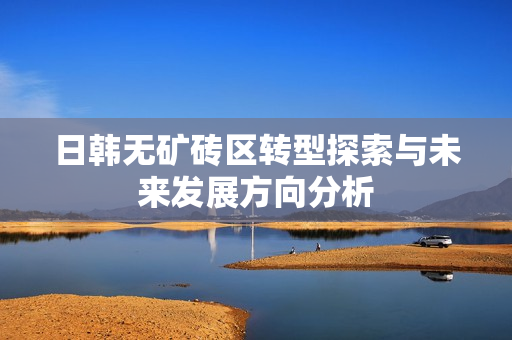 日韩无矿砖区转型探索与未来发展方向分析