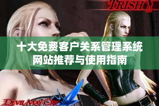 十大免费客户关系管理系统网站推荐与使用指南