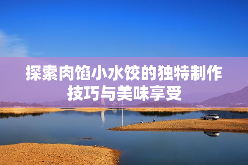 探索肉馅小水饺的独特制作技巧与美味享受