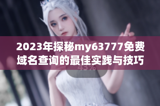 2023年探秘my63777免费域名查询的最佳实践与技巧