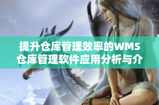 提升仓库管理效率的WMS仓库管理软件应用分析与介绍