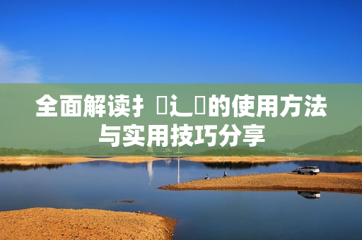 全面解读扌喿辶畐的使用方法与实用技巧分享