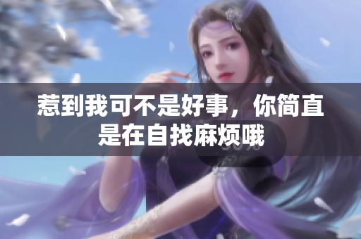 惹到我可不是好事，你简直是在自找麻烦哦
