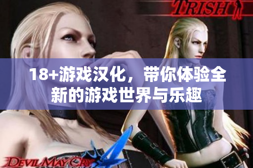 18+游戏汉化，带你体验全新的游戏世界与乐趣
