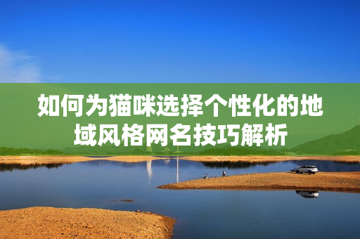如何为猫咪选择个性化的地域风格网名技巧解析