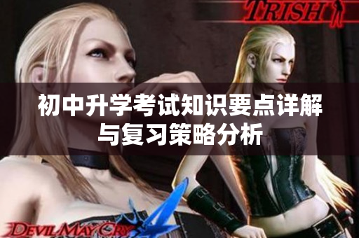初中升学考试知识要点详解与复习策略分析