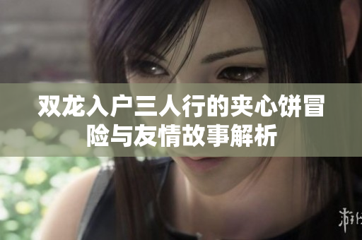 双龙入户三人行的夹心饼冒险与友情故事解析