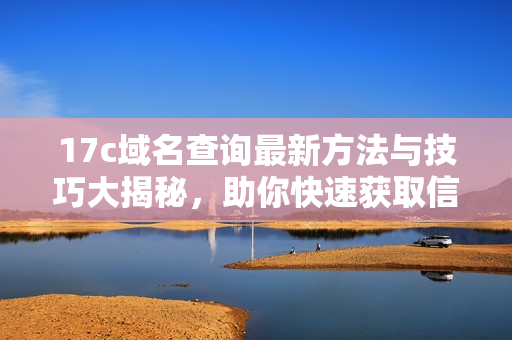 17c域名查询最新方法与技巧大揭秘，助你快速获取信息