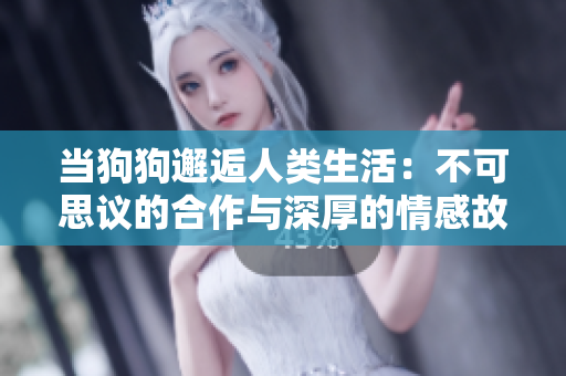 当狗狗邂逅人类生活：不可思议的合作与深厚的情感故事