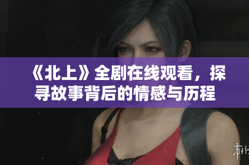 《北上》全剧在线观看，探寻故事背后的情感与历程