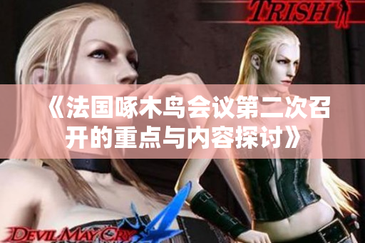 《法国啄木鸟会议第二次召开的重点与内容探讨》