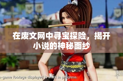 在废文网中寻宝探险，揭开小说的神秘面纱