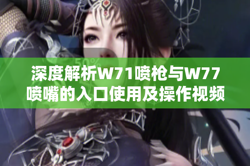 深度解析W71喷枪与W77喷嘴的入口使用及操作视频