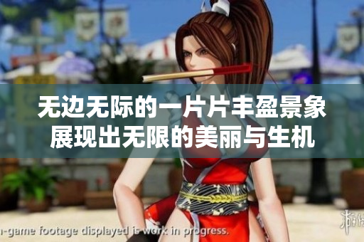 无边无际的一片片丰盈景象展现出无限的美丽与生机