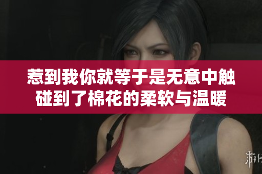 惹到我你就等于是无意中触碰到了棉花的柔软与温暖