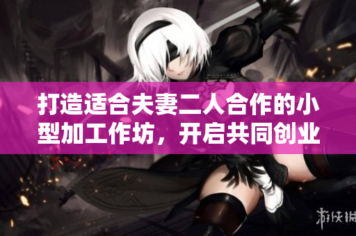 打造适合夫妻二人合作的小型加工作坊，开启共同创业新篇章