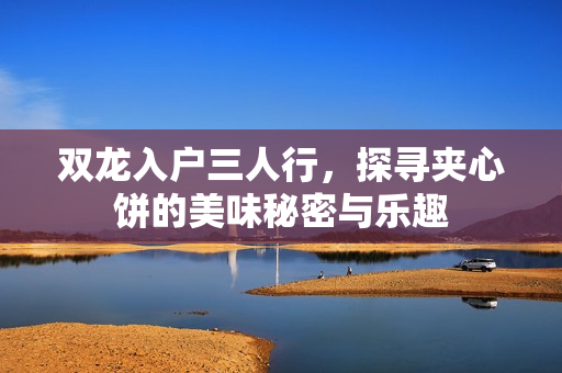 双龙入户三人行，探寻夹心饼的美味秘密与乐趣