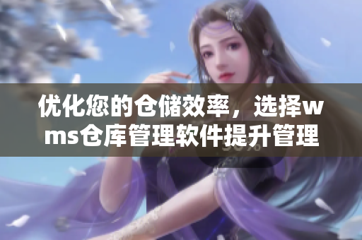 优化您的仓储效率，选择wms仓库管理软件提升管理水平