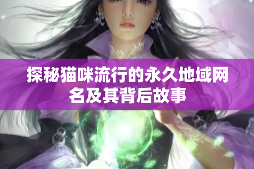 探秘猫咪流行的永久地域网名及其背后故事