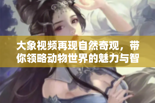 大象视频再现自然奇观，带你领略动物世界的魅力与智慧