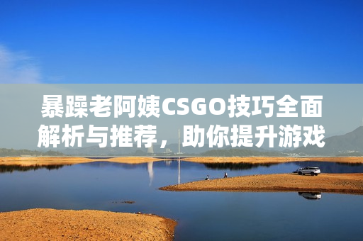 暴躁老阿姨CSGO技巧全面解析与推荐，助你提升游戏水平