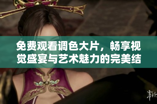 免费观看调色大片，畅享视觉盛宴与艺术魅力的完美结合