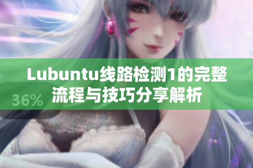 Lubuntu线路检测1的完整流程与技巧分享解析