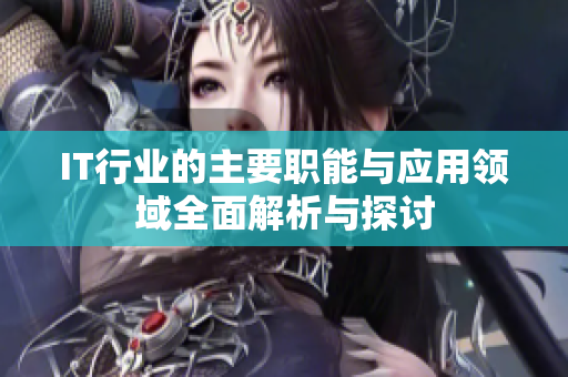 IT行业的主要职能与应用领域全面解析与探讨