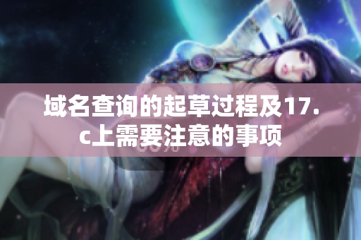 域名查询的起草过程及17.c上需要注意的事项