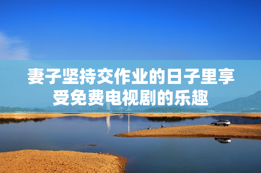妻子坚持交作业的日子里享受免费电视剧的乐趣