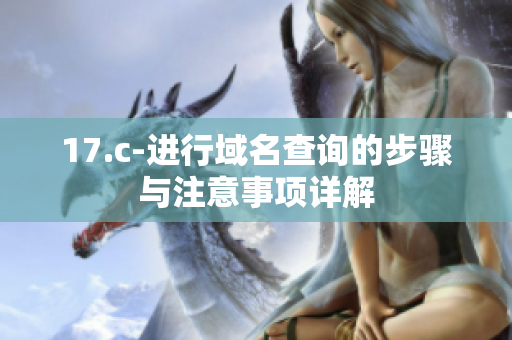 17.c-进行域名查询的步骤与注意事项详解
