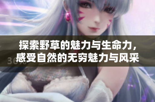 探索野草的魅力与生命力，感受自然的无穷魅力与风采